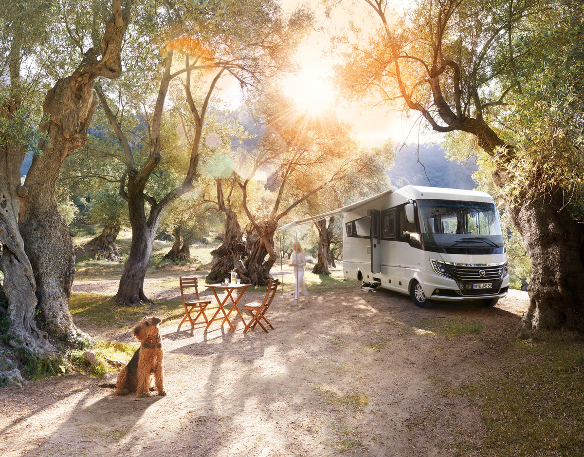 Motorhome | SealX
